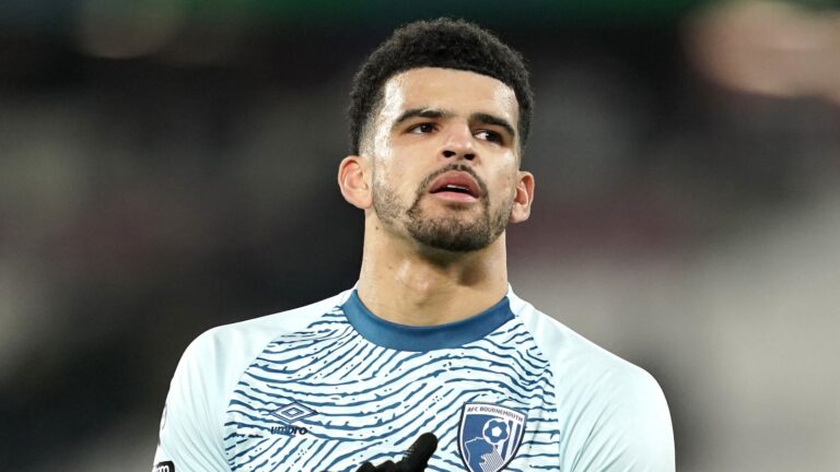 skysports dominic solanke bournemouth 6648063