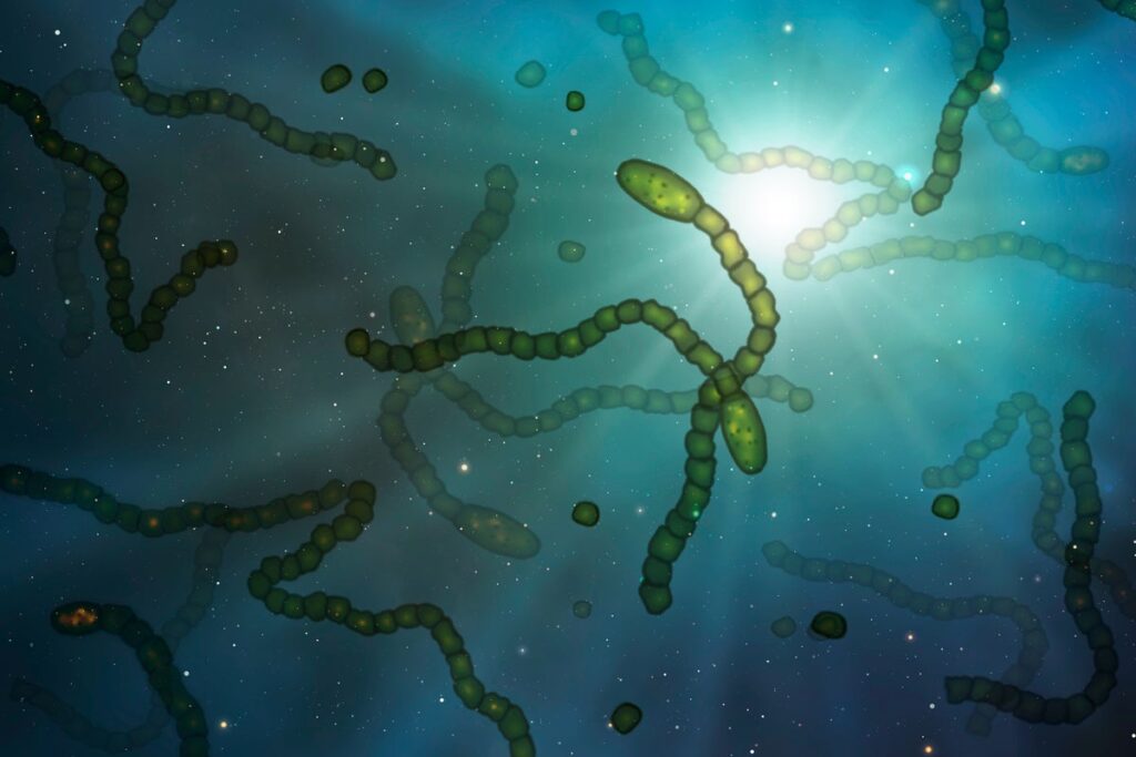 microbes in space