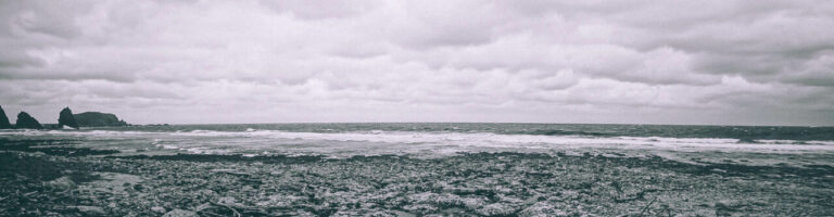 WFF cropped 1280x334