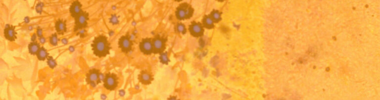 carson 1280x339
