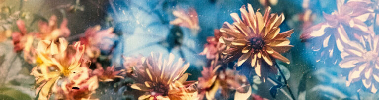 AS feature image 1280x339