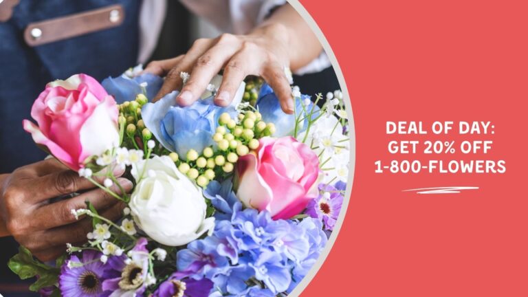 Deal of Day Get 20 off 1 800 Flowers