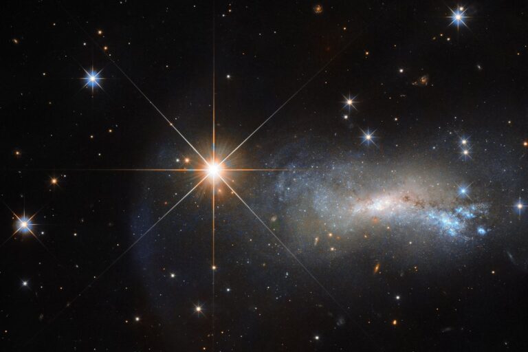 star tyc 3203 450 1 in lacerta lizard constellation