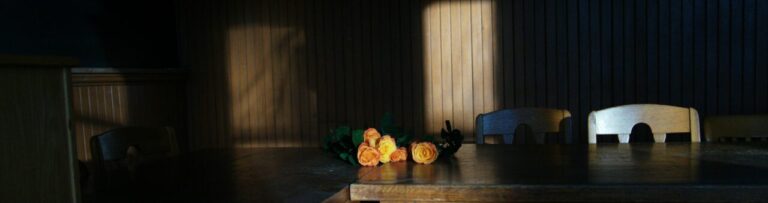 yichen wang mlbJ h4jMtI unsplash 1 1280x339